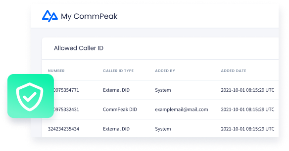 screenshot of CommPeak VoIP Service
